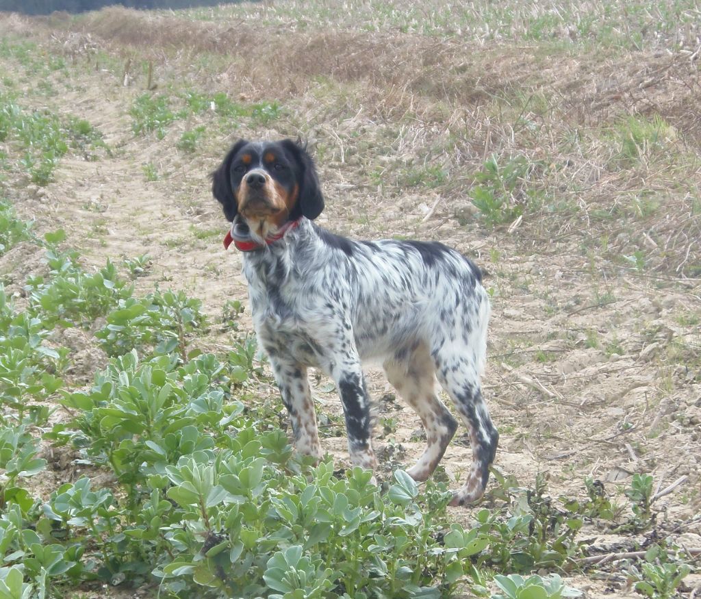 Rimm Du Val Des Deux Baïses