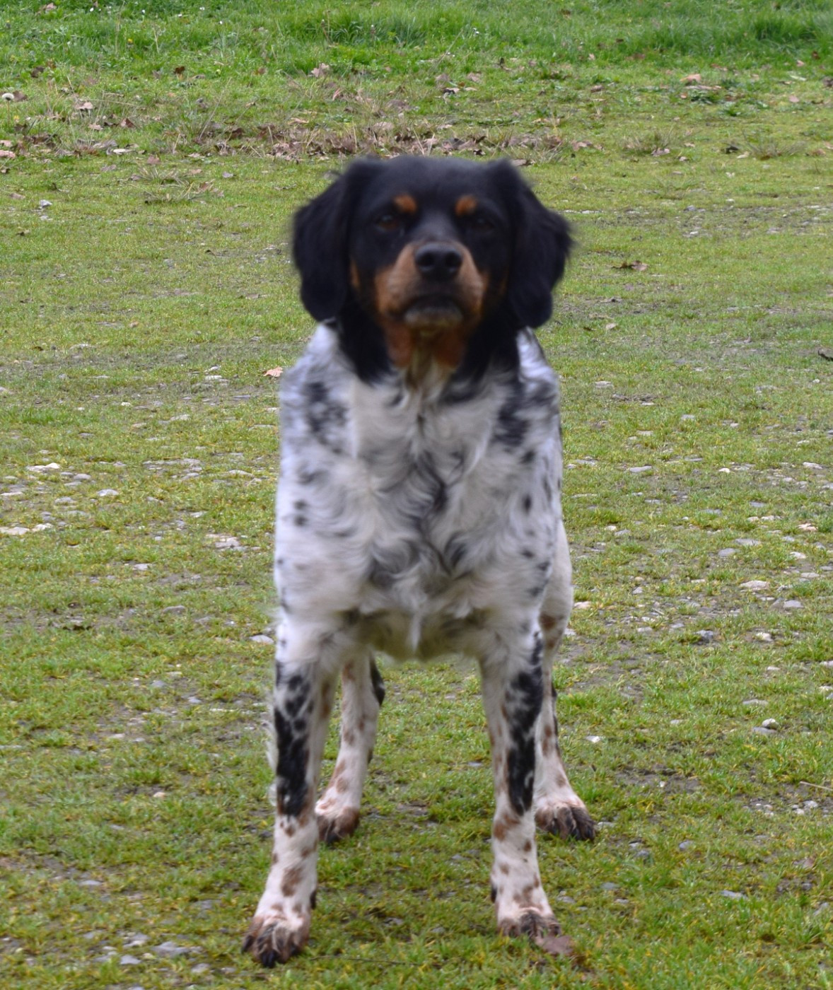 Talys Du Val Des Deux Baïses